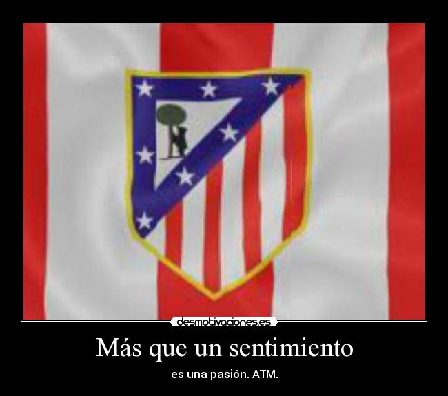 Más que un sentimiento - 