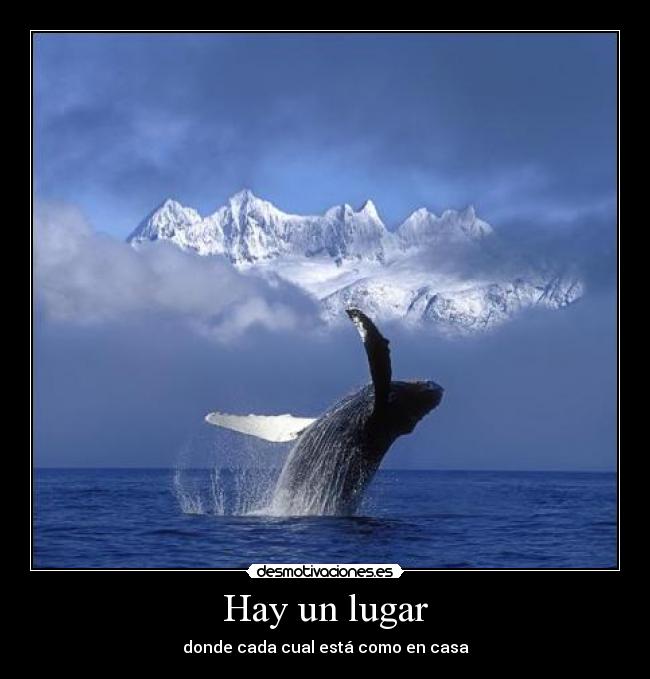 Hay un lugar - 