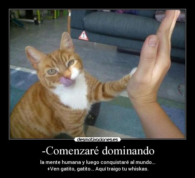 -Comenzaré dominando -