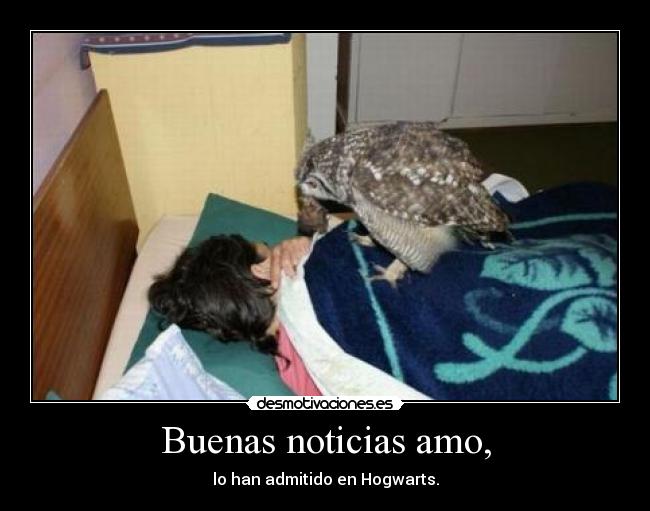 Buenas noticias amo, -
