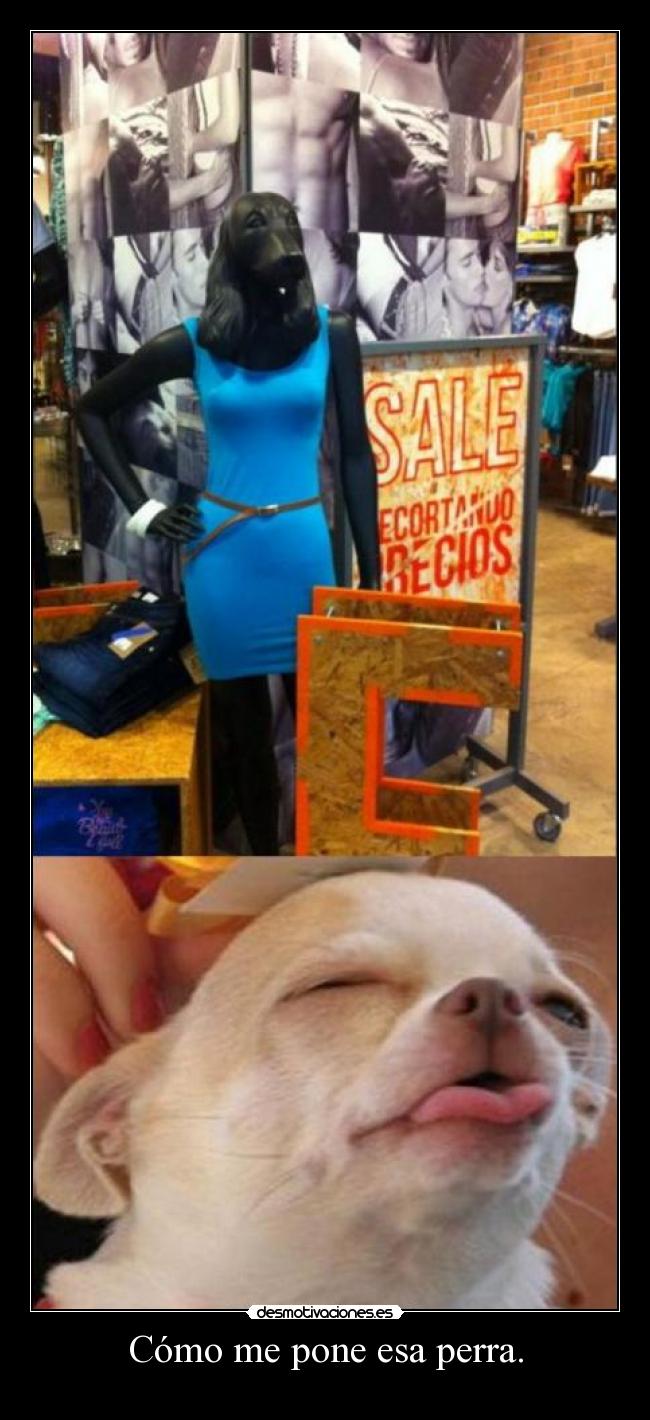 carteles desmofunny gotian raptorhunters kirch theinmortal resubido por falta perdon desmotivaciones