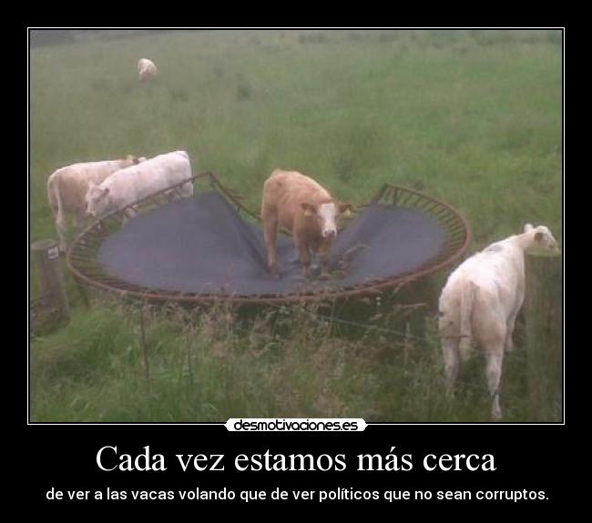 Cada vez estamos más cerca - de ver a las vacas volando que de ver políticos que no sean corruptos.