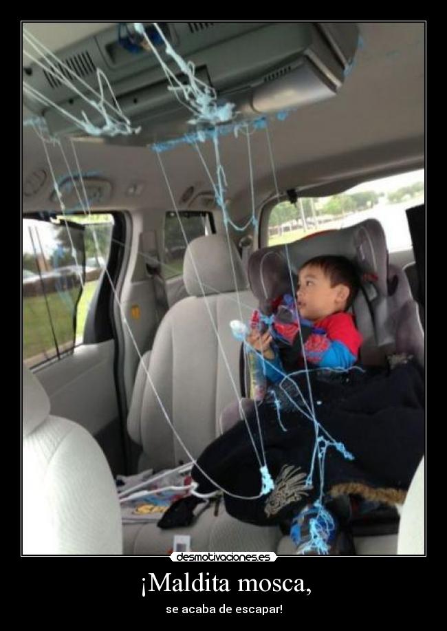 ¡Maldita mosca, - se acaba de escapar!