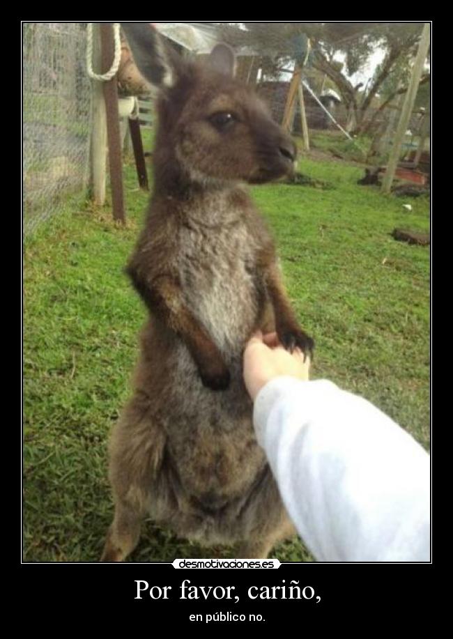 Por favor, cariño, -