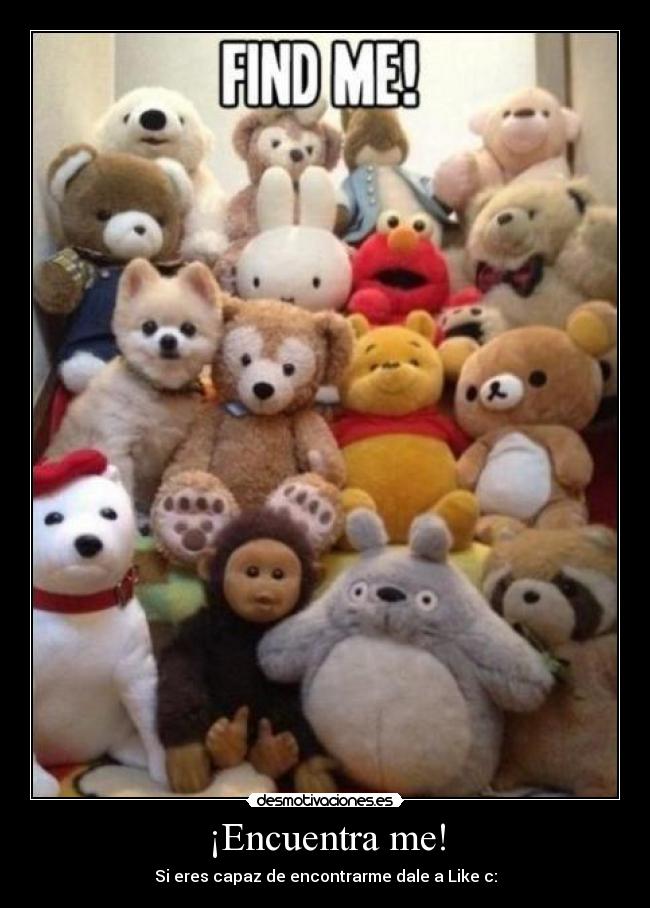 ¡Encuentra me! -