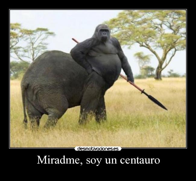 carteles desmofunny deacripciin obvia cartelborrable desmotivaciones