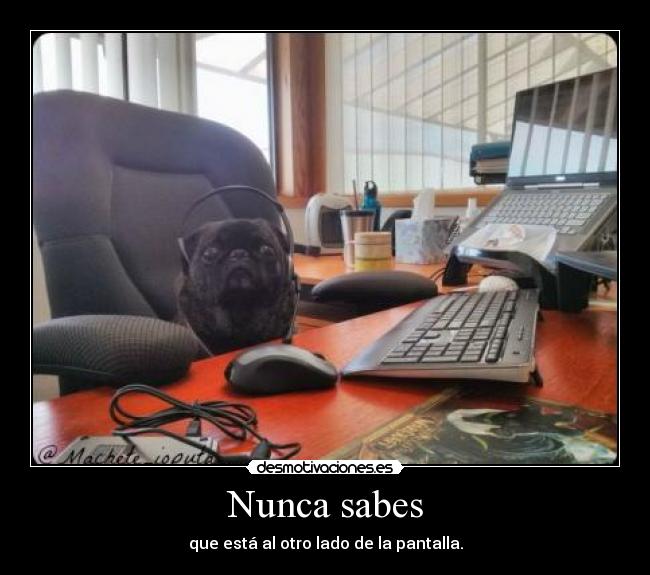 carteles njhgfc desmotivaciones