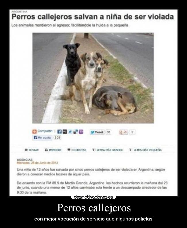 Perros callejeros - con mejor vocación de servicio que algunos policías.