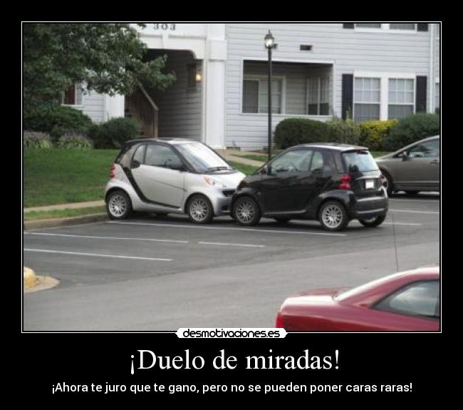 ¡Duelo de miradas! - 