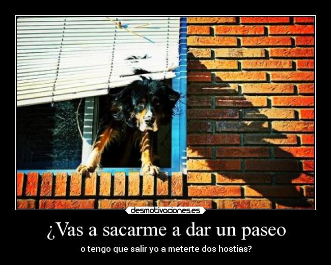 carteles sal venga chulo desmotivaciones