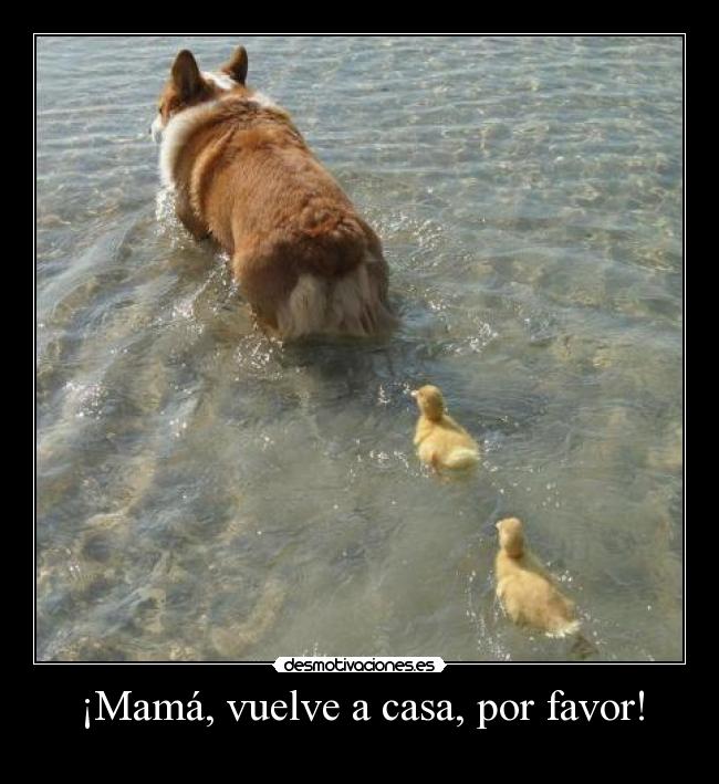 ¡Mamá, vuelve a casa, por favor! -