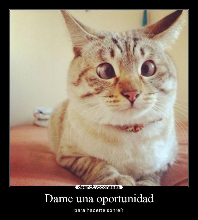 Dame una oportunidad - para hacerte sonreír.