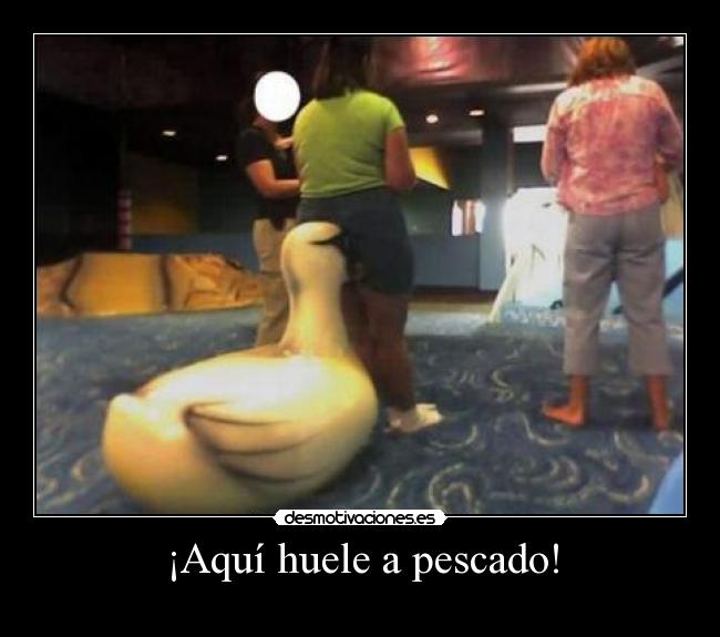 ¡Aquí huele a pescado! - 