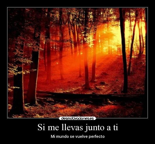 Si me llevas junto a ti -