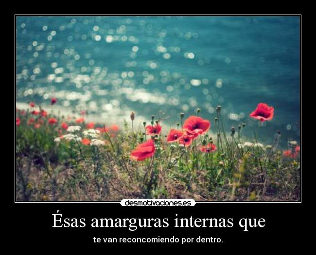 Ésas amarguras internas que - te van reconcomiendo por dentro.