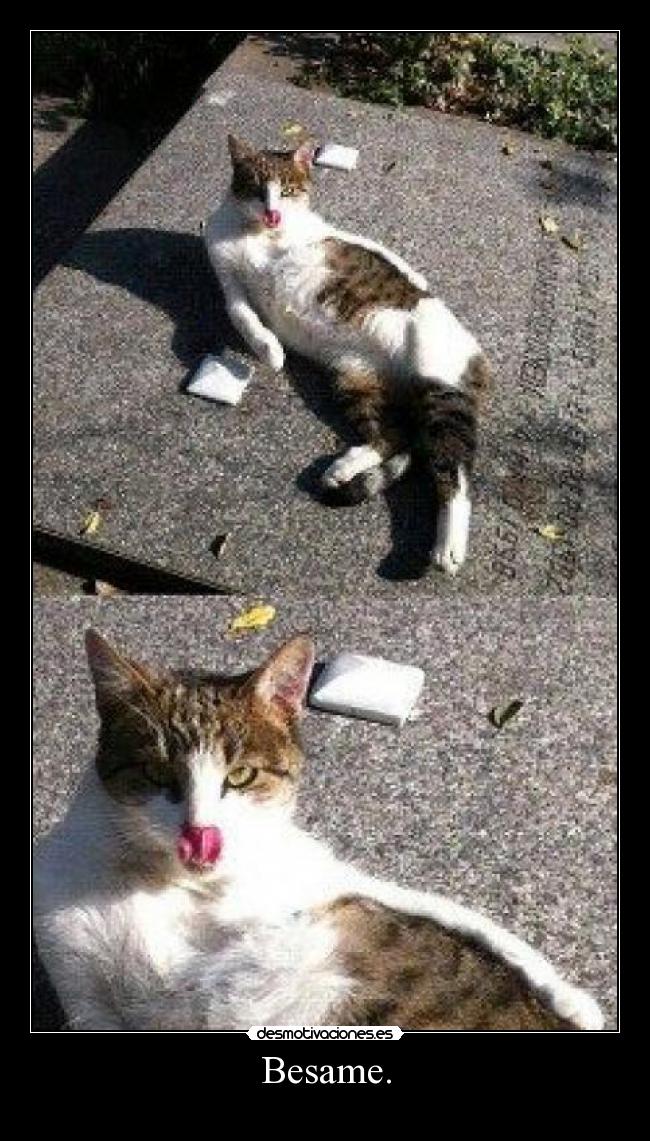 carteles 1dff que tengas suerte extranare desmotivaciones