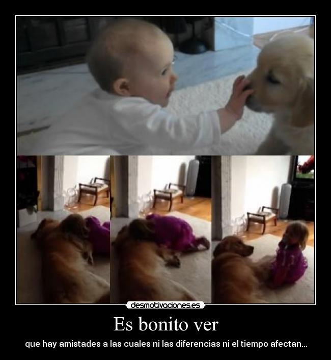 Es bonito ver - que hay amistades a las cuales ni las diferencias ni el tiempo afectan...