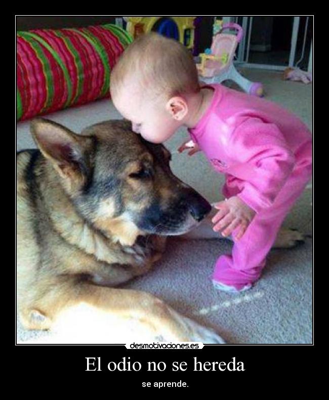 El odio no se hereda - se aprende.