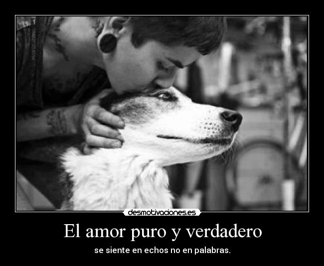 El amor puro y verdadero - se siente en echos no en palabras.