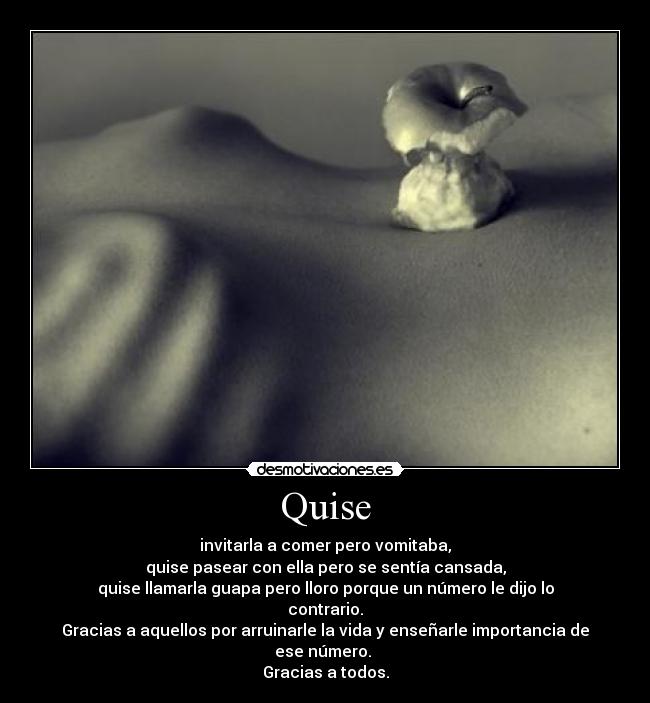 Quise -