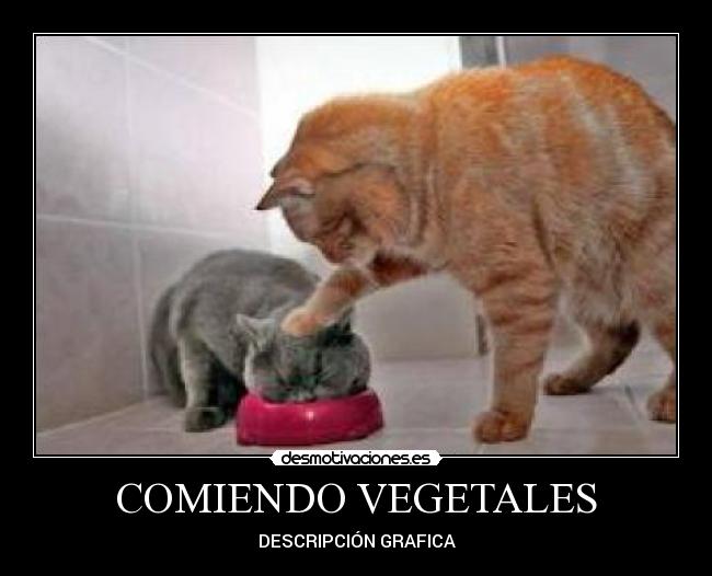 carteles lool desmotivaciones