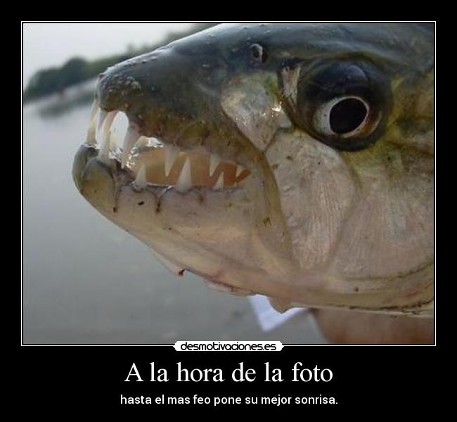 A la hora de la foto - 