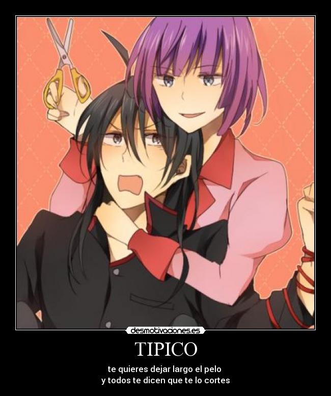 carteles bakemonotagari araragi koyomi hitagi cabello largo tijeres anime novelas desmotivaciones