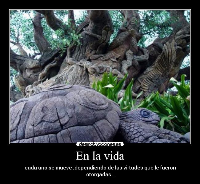 En la vida -