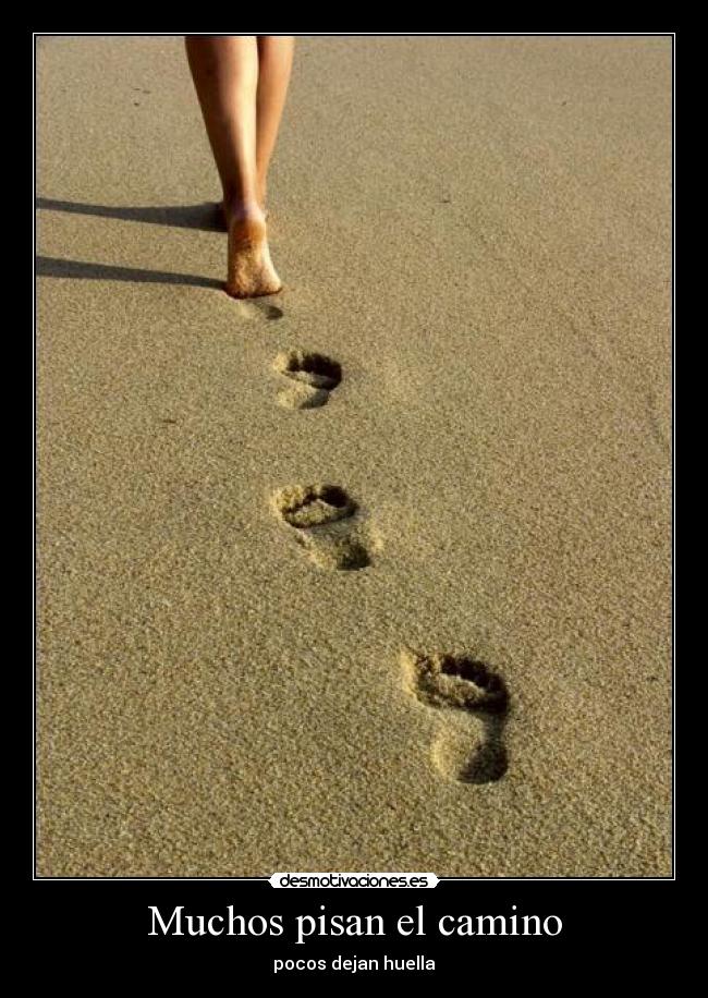 Muchos pisan el camino - 