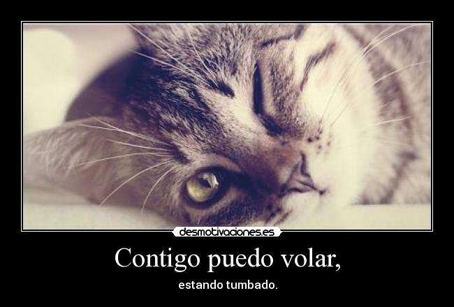 Contigo puedo volar, - estando tumbado.