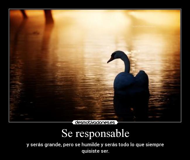 Se responsable - 