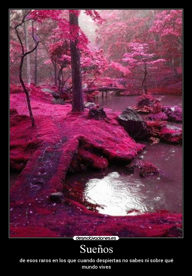 Sueños - de esos raros en los que cuando despiertas no sabes ni sobre qué mundo vives