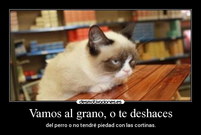 Vamos al grano, o te deshaces - del perro o no tendré piedad con las cortinas.