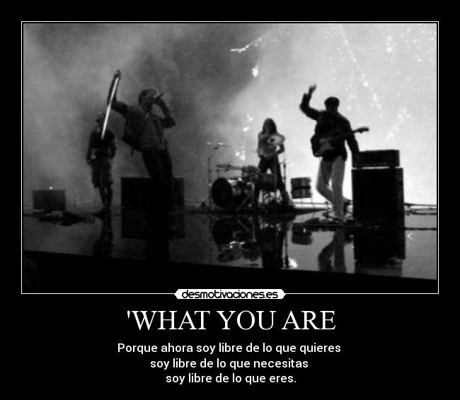 WHAT YOU ARE -