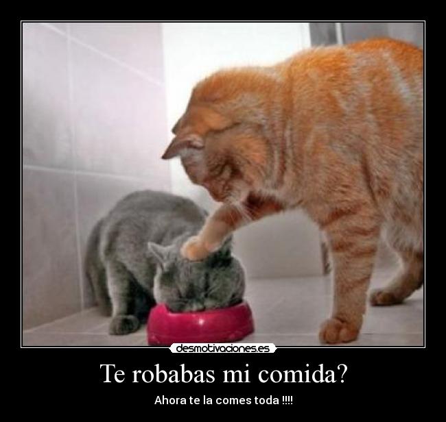 Te robabas mi comida? - Ahora te la comes toda !!!!