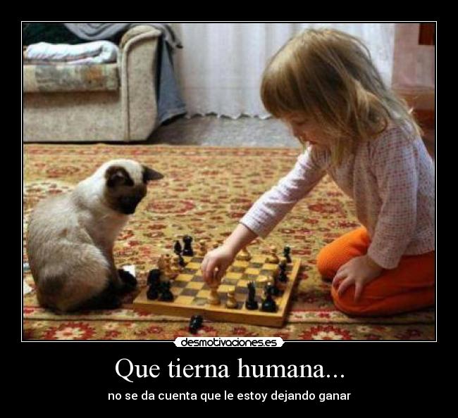 Que tierna humana... - no se da cuenta que le estoy dejando ganar