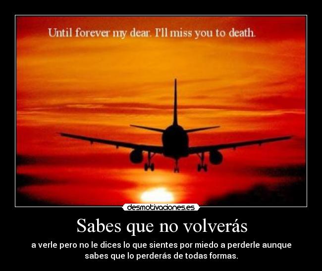 Sabes que no volverás - a verle pero no le dices lo que sientes por miedo a perderle aunque
sabes que lo perderás de todas formas.