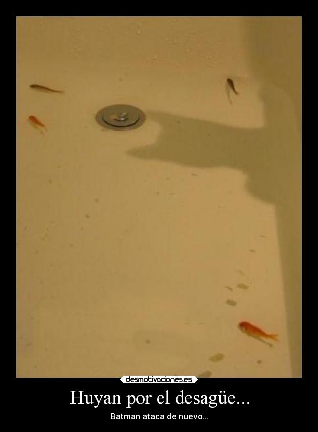 Huyan por el desagüe... - Batman ataca de nuevo...