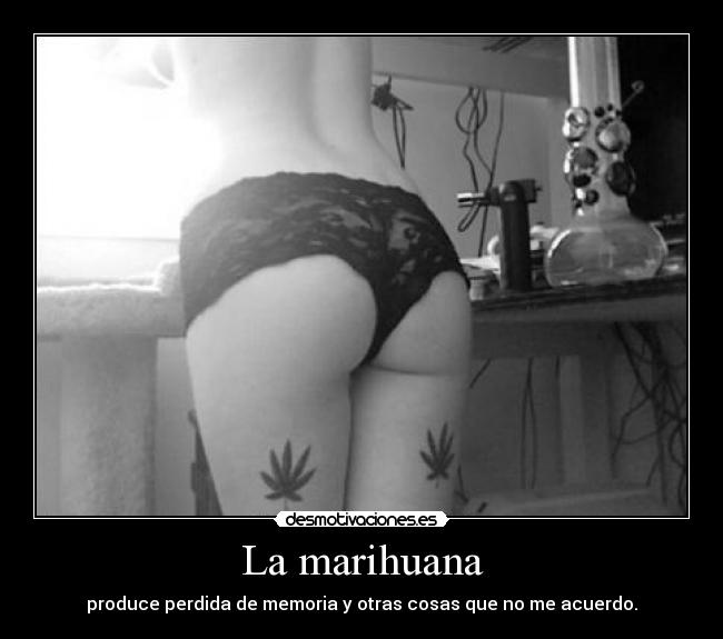 La marihuana - produce perdida de memoria y otras cosas que no me acuerdo.