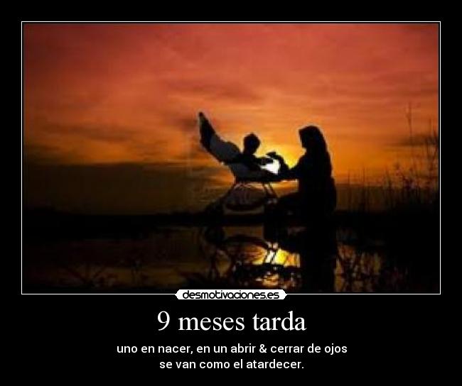 9 meses tarda -