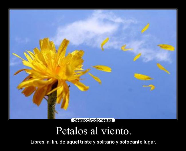 Petalos al viento. - Libres, al fin, de aquel triste y solitario y sofocante lugar.