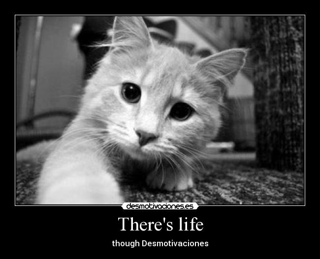 Theres life - though Desmotivaciones