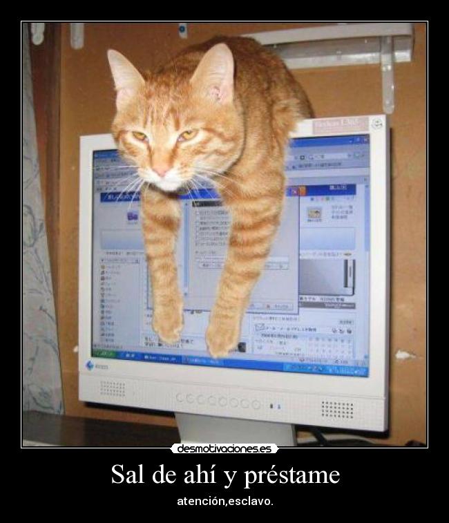 carteles felicidades love anito pude estar presente mientras estabas desmotivaciones