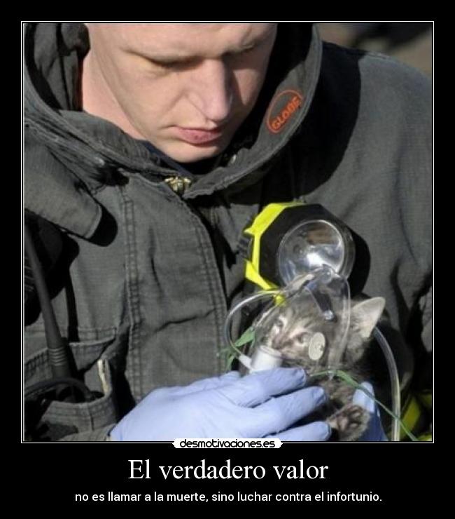 El verdadero valor -