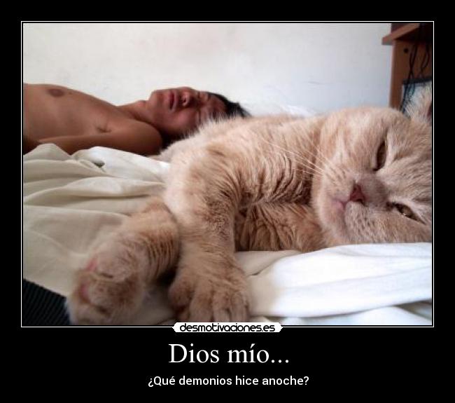 Dios mío... - ¿Qué demonios hice anoche?