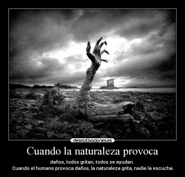 carteles naturaleza fede28 desmotivaciones