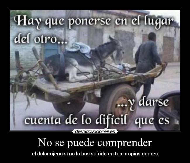 No se puede comprender -