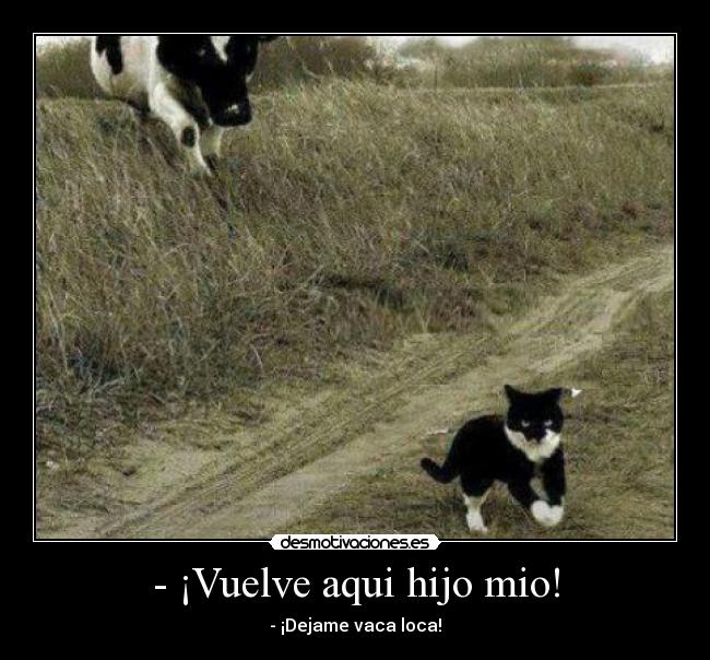 - ¡Vuelve aqui hijo mio! -