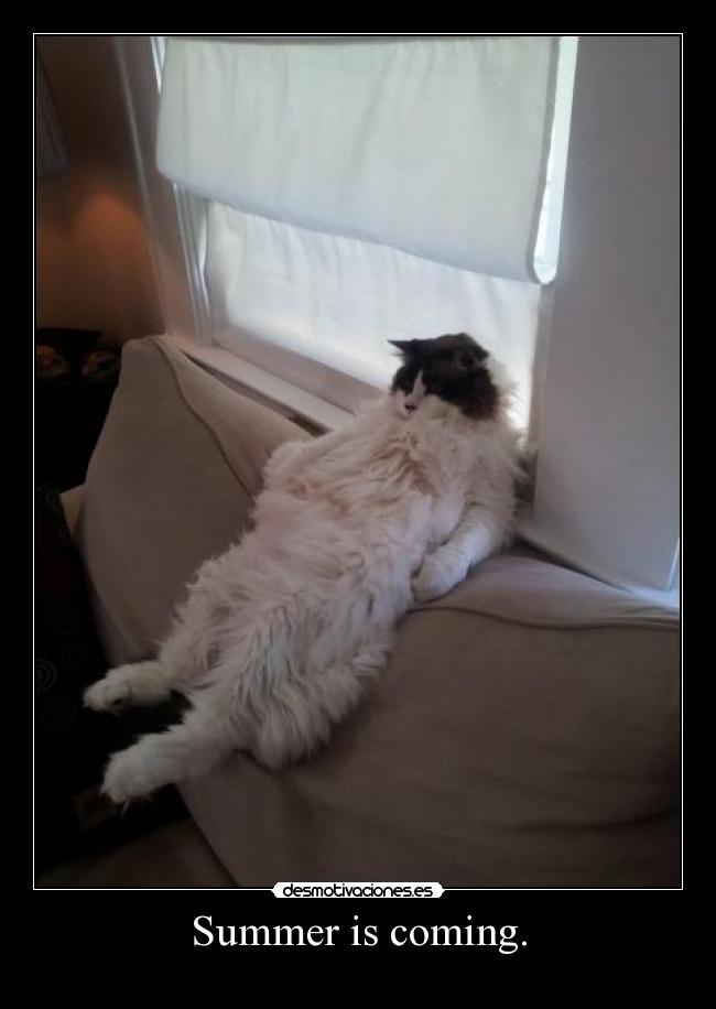 Summer is coming. - 