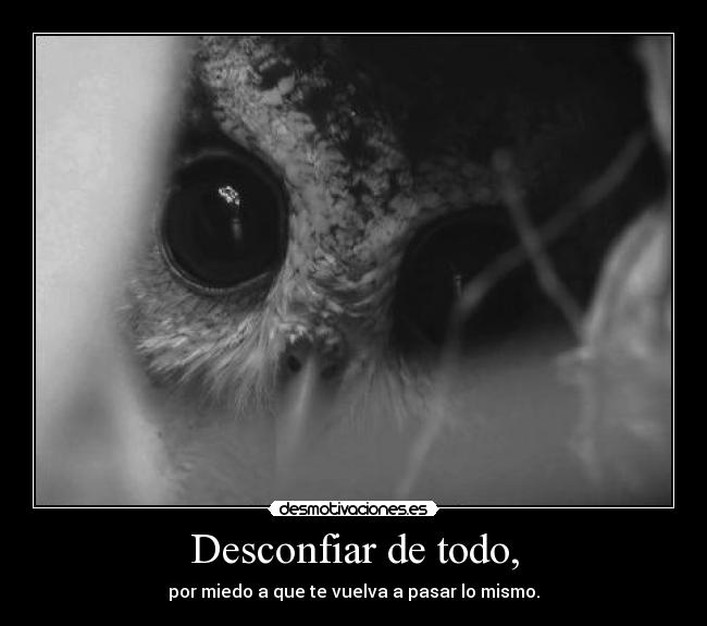Desconfiar de todo, -